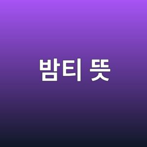 밤티 뜻 단어가 가진 의미와 일상에서의 활용법 2 밤티 뜻