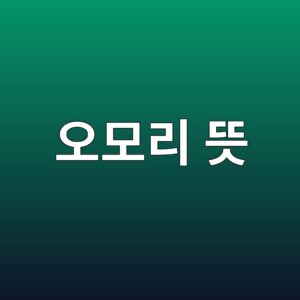 오모리 뜻과 유래 그리고 실생활 활용 1 오모리 뜻