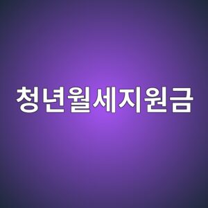 청년월세지원금 서비스 상세 정보 4 청년월세지원금