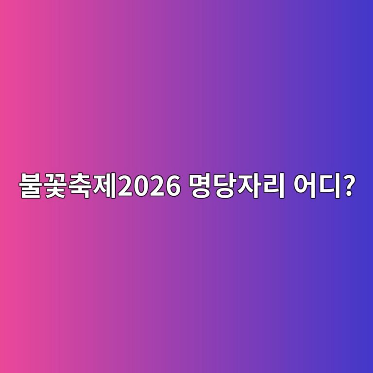 불꽃축제2026 명당자리 어디?