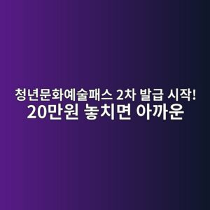 청년문화예술패스 2차 발급 시작! 20만원 놓치면 아까운 신청방법 총정리 2 청년문화예술패스 2차 발급 시작! 20만원 놓치면 아까운