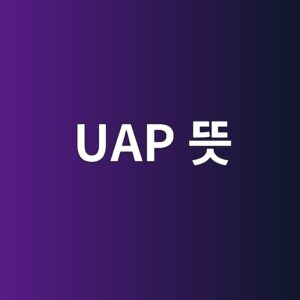 UAP 뜻